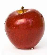 sadnice voca - jabuka top red
